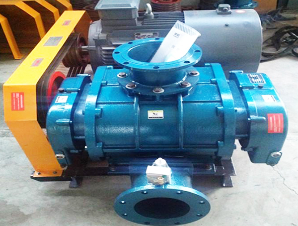 LYSRϵ���L�C